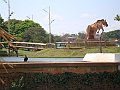 3547-geocities-ws-pantanal