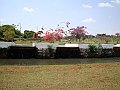 3551-geocities-ws-pantanal