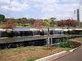 3558-geocities-ws-pantanal