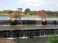 3561-geocities-ws-pantanal
