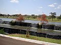 3566-geocities-ws-pantanal
