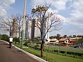 3568-geocities-ws-pantanal