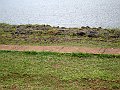 3580-geocities-ws-pantanal