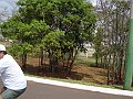 3582-geocities-ws-pantanal
