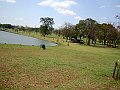 3585-geocities-ws-pantanal