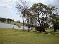 3588-geocities-ws-pantanal
