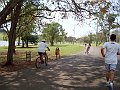 3591-geocities-ws-pantanal