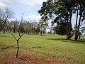 3593-geocities-ws-pantanal