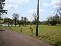 3595-geocities-ws-pantanal