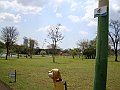 3596-geocities-ws-pantanal