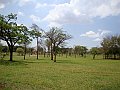3598-geocities-ws-pantanal