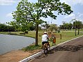 3602-geocities-ws-pantanal