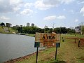 3603-geocities-ws-pantanal