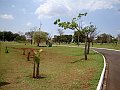 3604-geocities-ws-pantanal