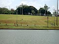 3607-geocities-ws-pantanal