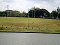 3608-geocities-ws-pantanal