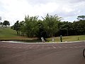 3616-geocities-ws-pantanal