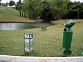 3619-geocities-ws-pantanal