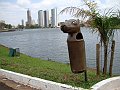 3621-geocities-ws-pantanal