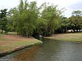 3629-geocities-ws-pantanal