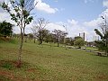3633-geocities-ws-pantanal
