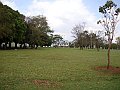 3636-geocities-ws-pantanal