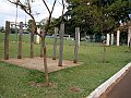 3647-geocities-ws-pantanal