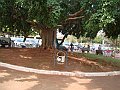3653-geocities-ws-pantanal