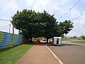 3659-geocities-ws-pantanal