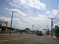 3703-geocities-ws-pantanal