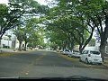 3738-geocities-ws-pantanal