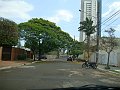 3745-geocities-ws-pantanal