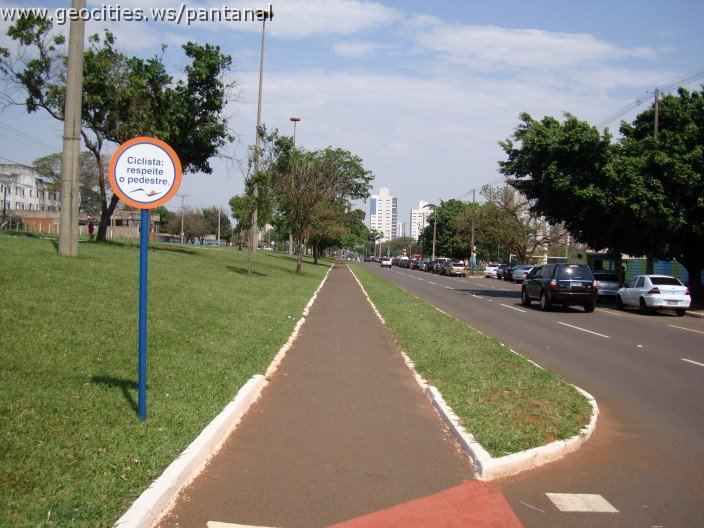 3752-geocities-ws-pantanal.jpg
