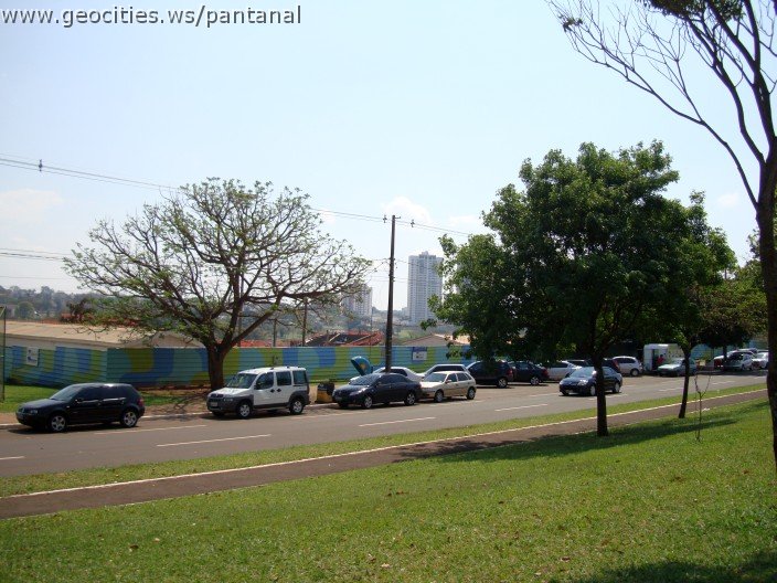 3765-geocities-ws-pantanal.jpg