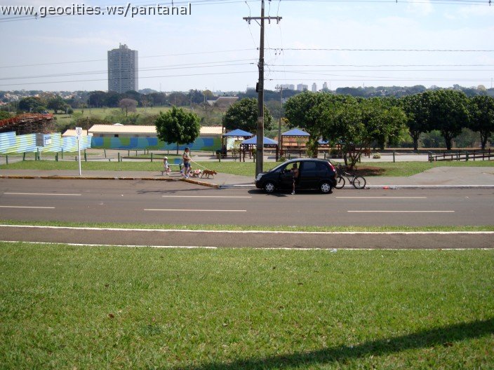 3773-geocities-ws-pantanal.jpg