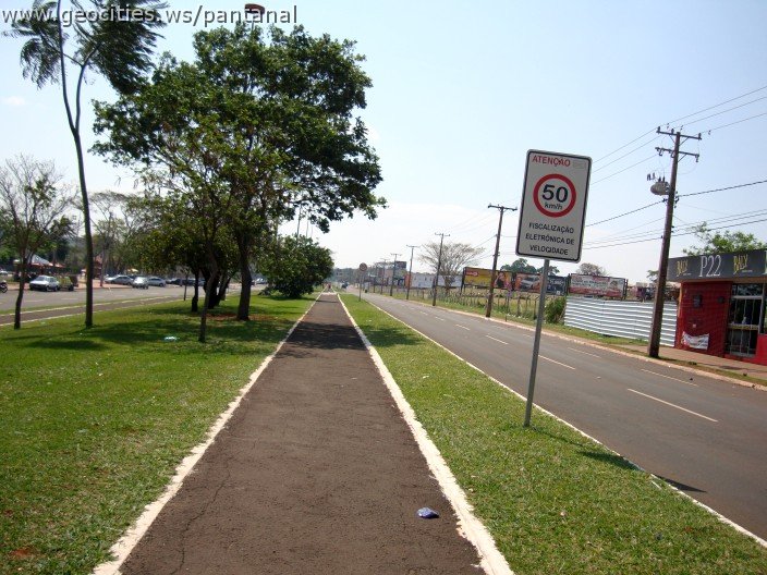 3779-geocities-ws-pantanal.jpg