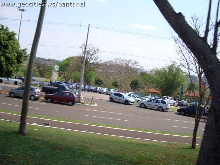 3780-geocities-ws-pantanal.jpg