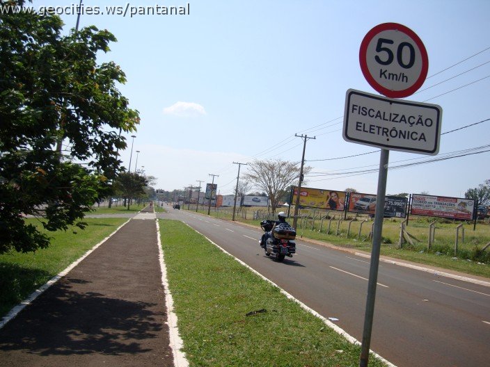 3782-geocities-ws-pantanal.jpg
