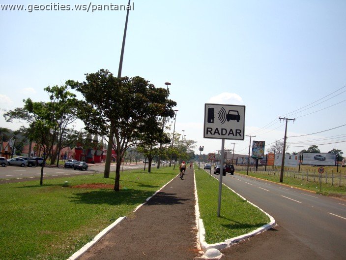 3784-geocities-ws-pantanal.jpg