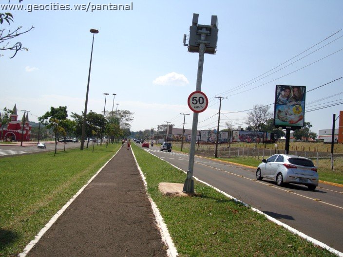 3787-geocities-ws-pantanal.jpg