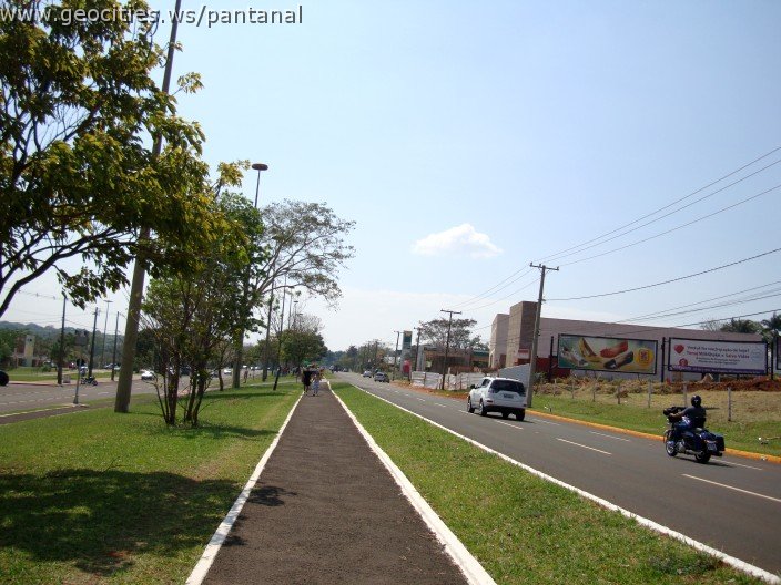 3791-geocities-ws-pantanal.jpg