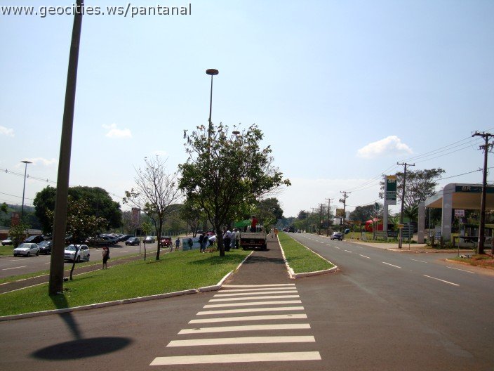 3793-geocities-ws-pantanal.jpg