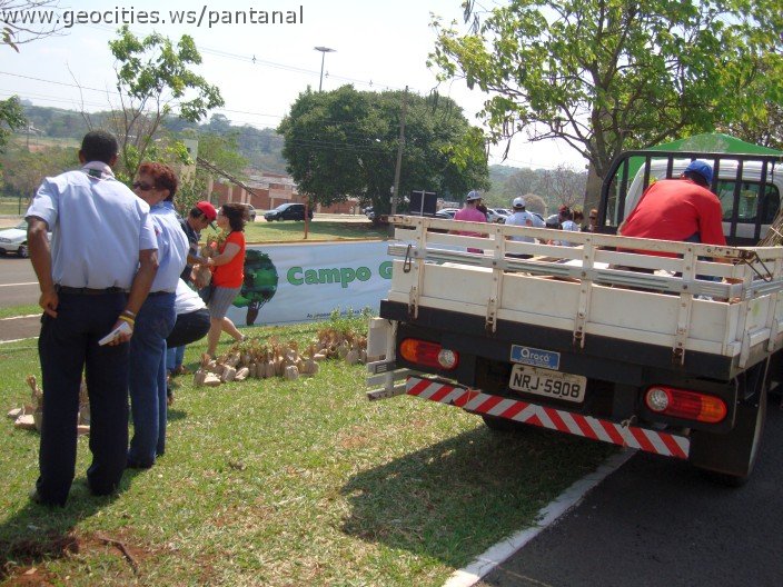 3795-geocities-ws-pantanal.jpg