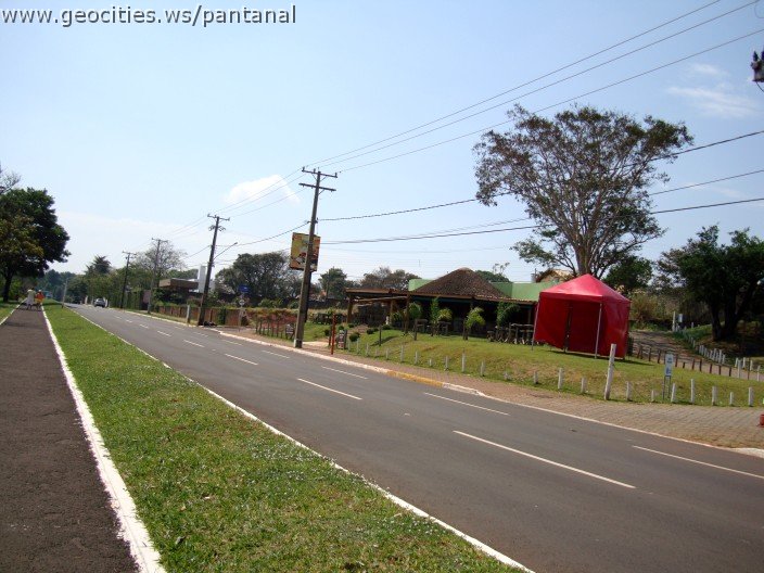 3798-geocities-ws-pantanal.jpg