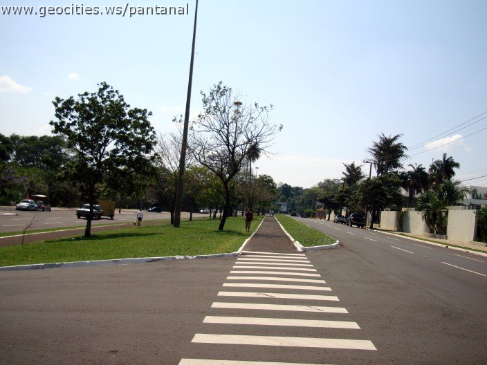 3803-geocities-ws-pantanal.jpg