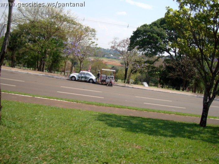 3805-geocities-ws-pantanal.jpg