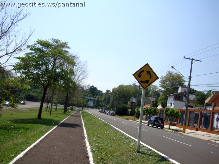 3809-geocities-ws-pantanal.jpg
