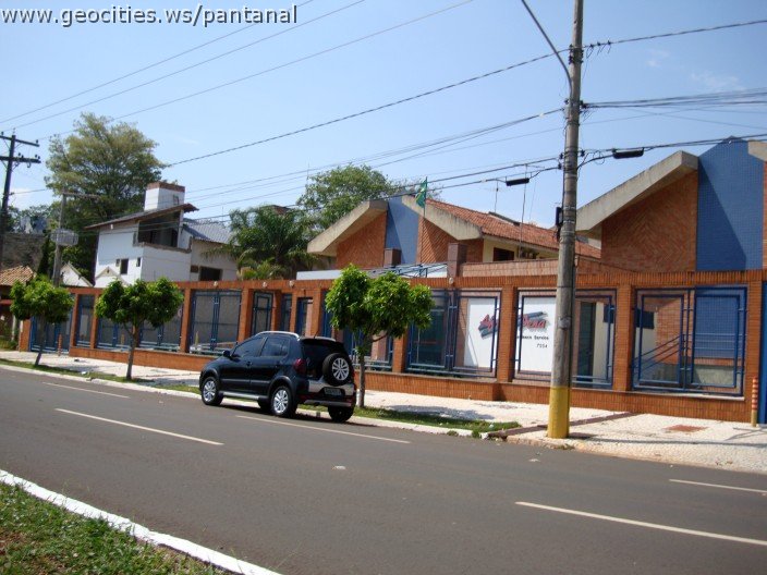 3810-geocities-ws-pantanal.jpg