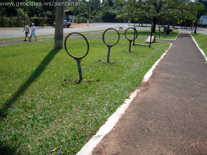 3813-geocities-ws-pantanal.jpg