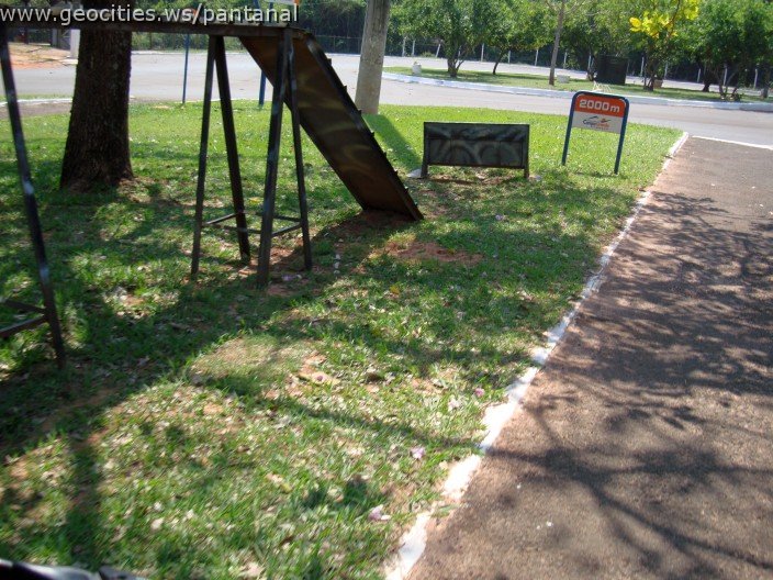 3816-geocities-ws-pantanal.jpg